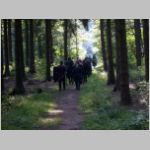 Bild 056.jpg